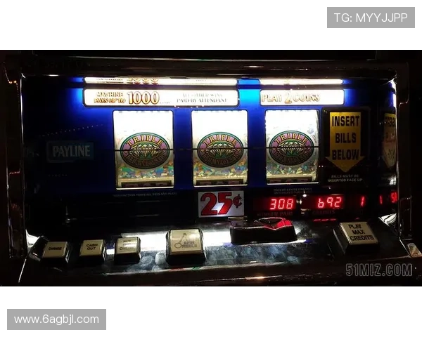 揭秘澳门老虎机一等奖的获奖秘诀与技巧