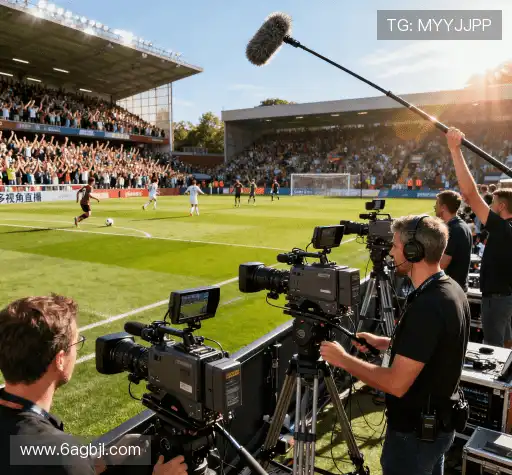 我们的风险管理